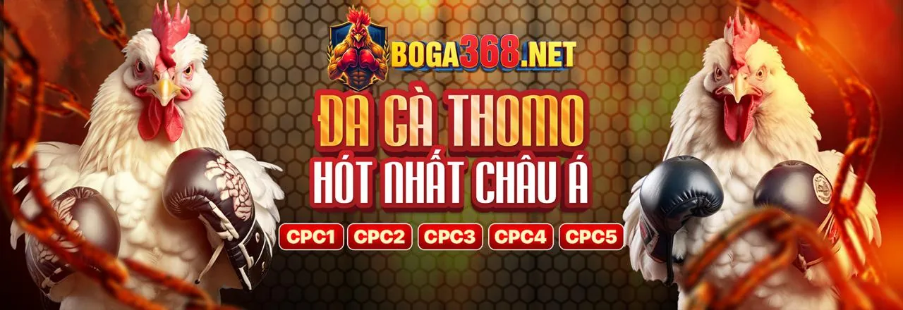 Hình ảnh kết luận về t68bet là lựa chọn tối ưu cho cá cược trực tuyến